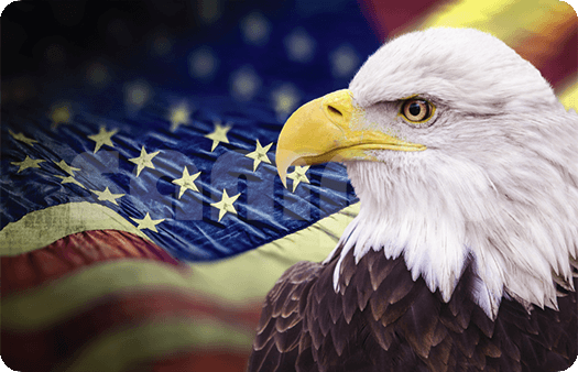 216-Eagle Profile