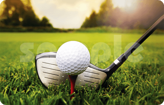 252-Tee Off