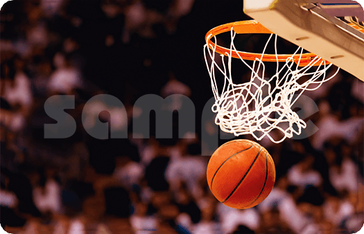 254-Nothing But Net