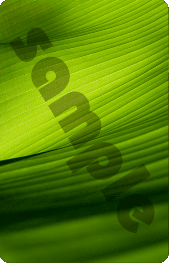 411_Green-Leaf